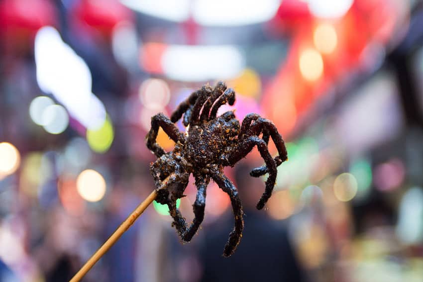 13 Weird and Wacky Foods In Asia: Fried Tarantula on a stick header image