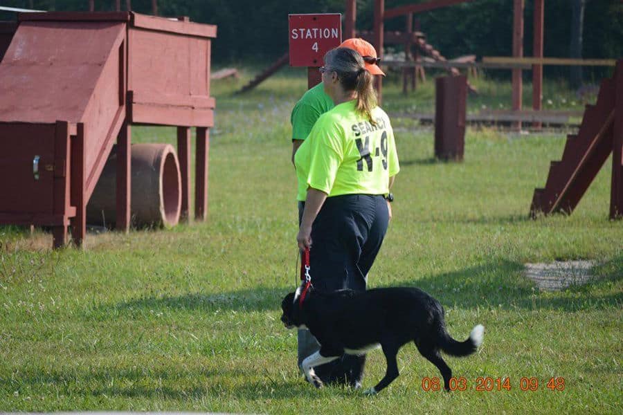 Gale St John K9 Training